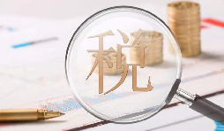 電子稅務(wù)局1月新增重點(diǎn)功能！速看！