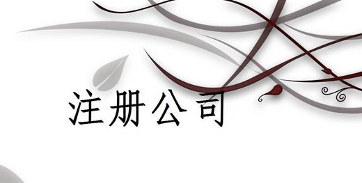 注冊(cè)公司為什么推薦找代理注冊(cè)公司的機(jī)構(gòu)呢？