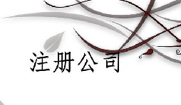 注冊(cè)公司為什么推薦找代理注冊(cè)公司的機(jī)構(gòu)呢？